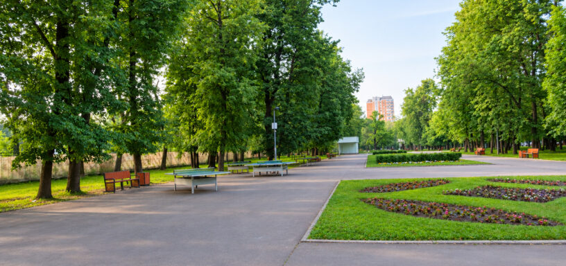 Перовский парк летом