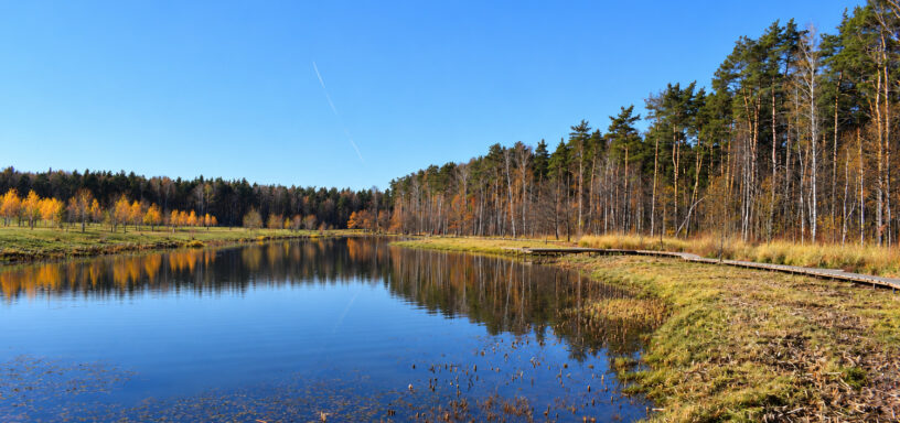 Водоём в Мещерском парке