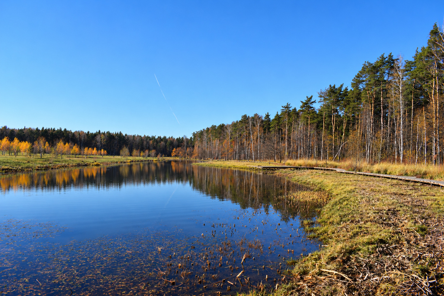 Водоём в Мещерском парке