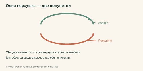 Условная верхушка столбика с обозначением передней и задней полупетель