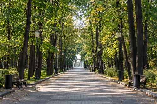 Аллея парка «Сокольники»