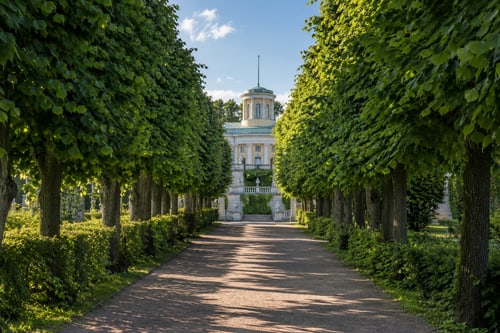 Аллея усадебного парка